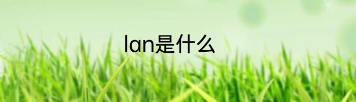 lan是什么
