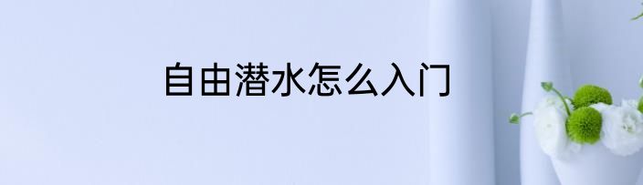 自由潜水怎么入门
