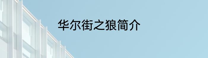 华尔街之狼简介