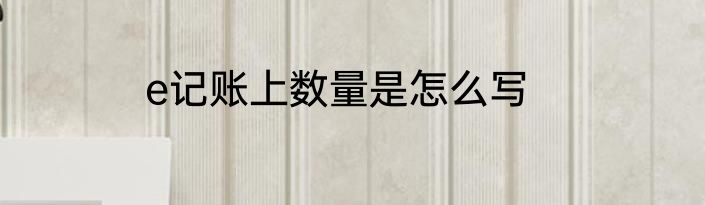 e记账上数量是怎么写