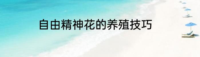 自由精神花的养殖技巧
