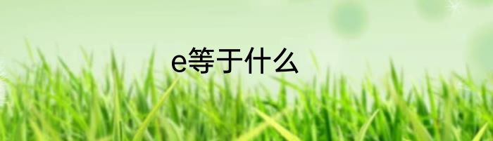 e等于什么