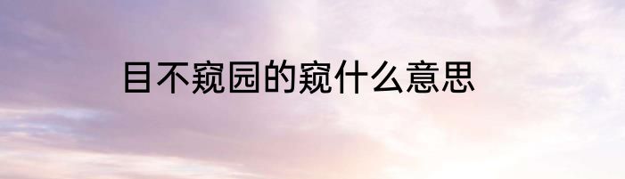 目不窥园的窥什么意思