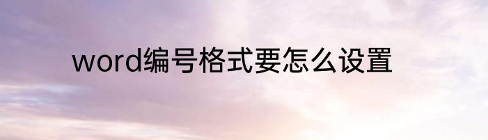 word编号格式要怎么设置