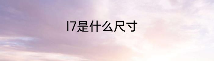 l7是什么尺寸