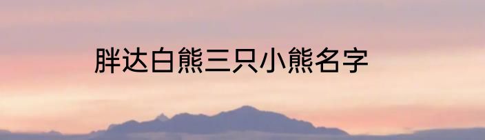 胖达白熊三只小熊名字