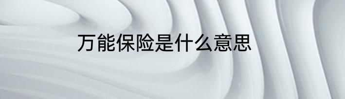 万能保险是什么意思
