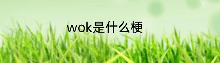 wok是什么梗