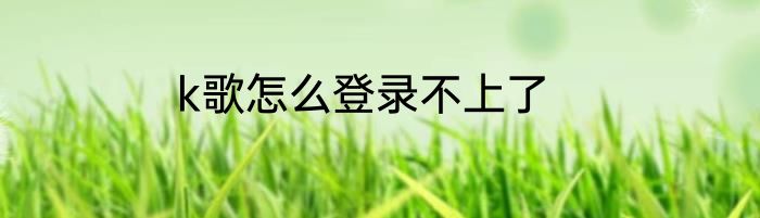 k歌怎么登录不上了
