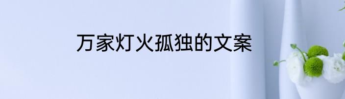 万家灯火孤独的文案