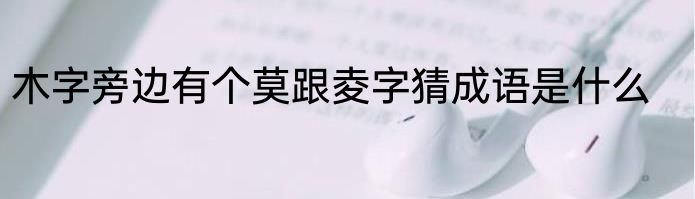 木字旁边有个莫跟夌字猜成语是什么