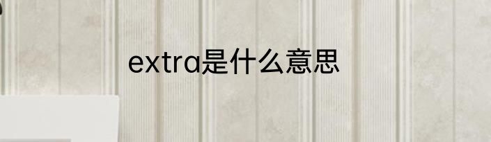 extra是什么意思