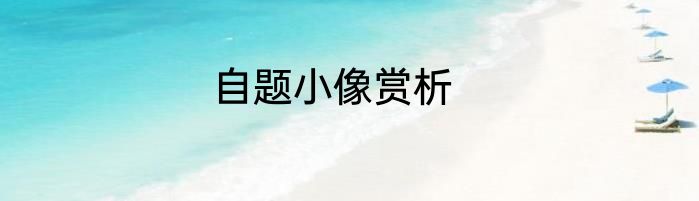 自题小像赏析