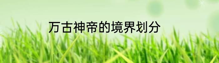万古神帝的境界划分
