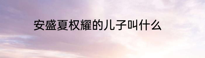 安盛夏权耀的儿子叫什么