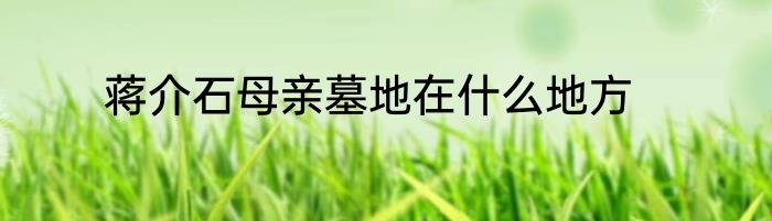 蒋介石母亲墓地在什么地方