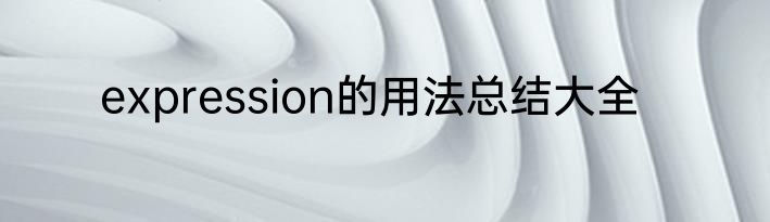 expression的用法总结大全