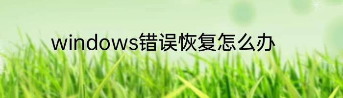 windows错误恢复怎么办