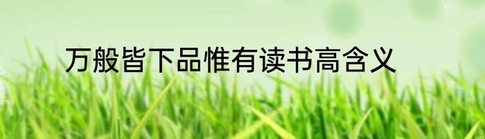 万般皆下品惟有读书高含义