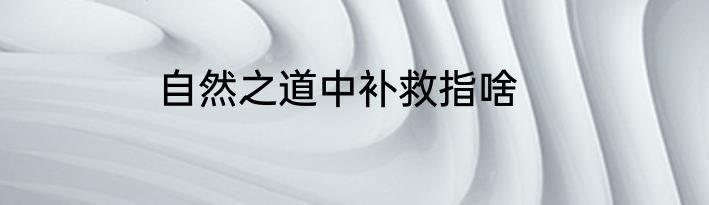 自然之道中补救指啥