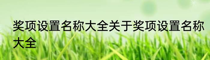 奖项设置名称大全关于奖项设置名称大全