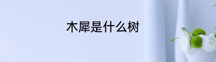 木犀是什么树