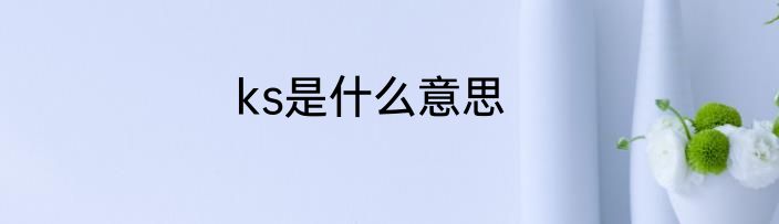 ks是什么意思