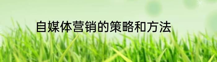 自媒体营销的策略和方法