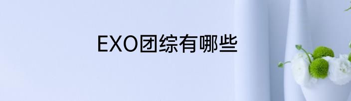 EXO团综有哪些
