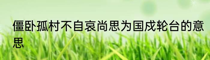僵卧孤村不自哀尚思为国戍轮台的意思