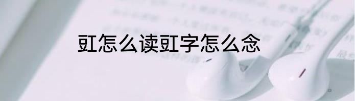 豇怎么读豇字怎么念