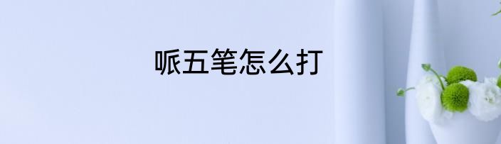 哌五笔怎么打