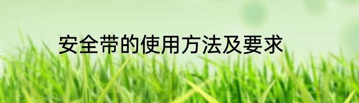 安全带的使用方法及要求