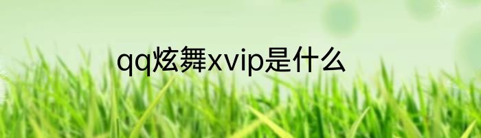 qq炫舞xvip是什么