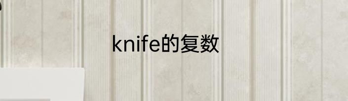 knife的复数