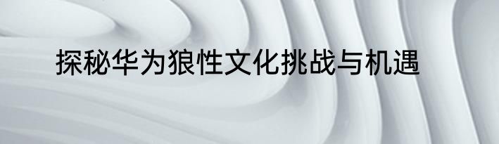 探秘华为狼性文化挑战与机遇