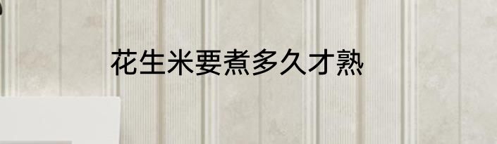 花生米要煮多久才熟