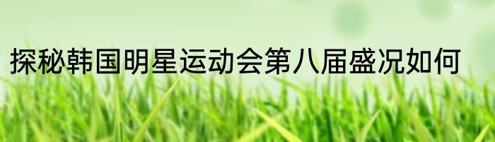 探秘韩国明星运动会第八届盛况如何