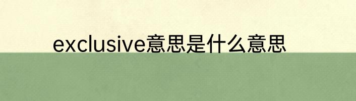 exclusive意思是什么意思
