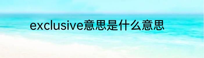 exclusive意思是什么意思