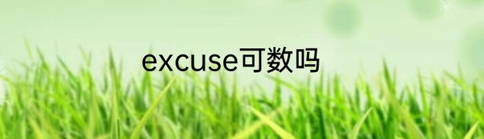 excuse可数吗