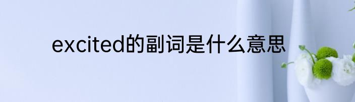 excited的副词是什么意思