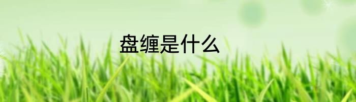 盘缠是什么
