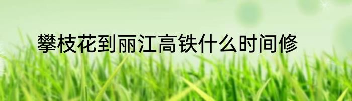 攀枝花到丽江高铁什么时间修