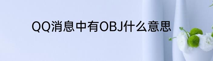 QQ消息中有OBJ什么意思