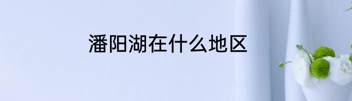 潘阳湖在什么地区