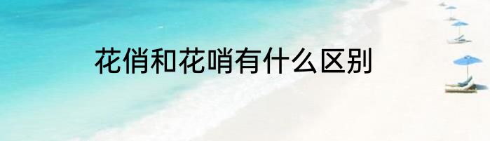 花俏和花哨有什么区别