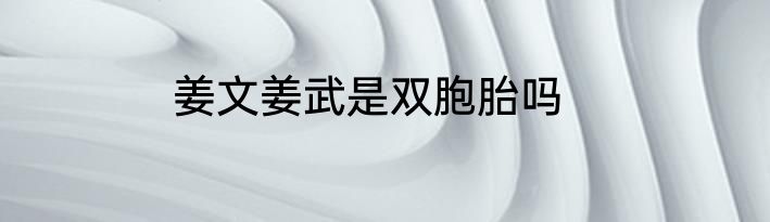 姜文姜武是双胞胎吗
