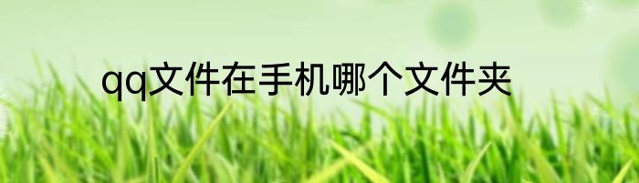 qq文件在手机哪个文件夹
