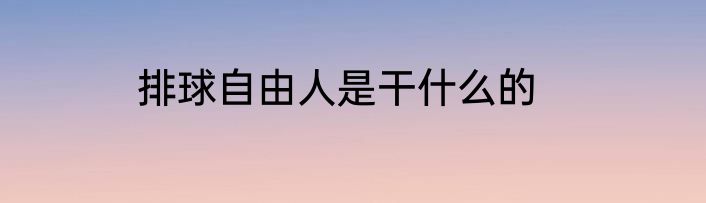 排球自由人是干什么的
